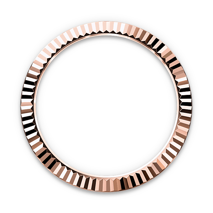 Rolex Sky-Dweller in 18 ct Everose gold, M336935-0006 - Swiss Time Square