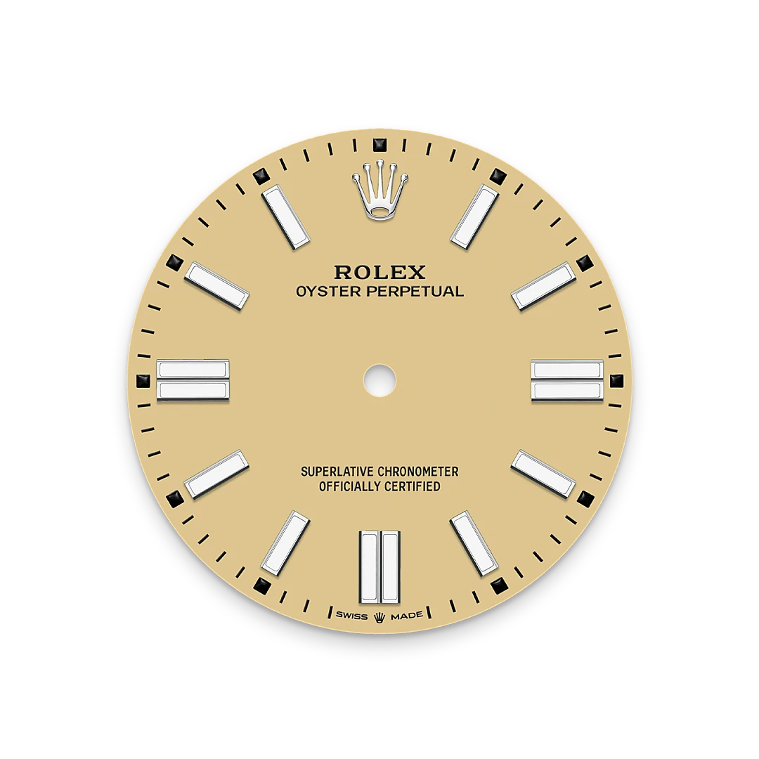 Rolex Oyster Perpetual in Oystersteel, M134300-0007 - Swiss Time Square
