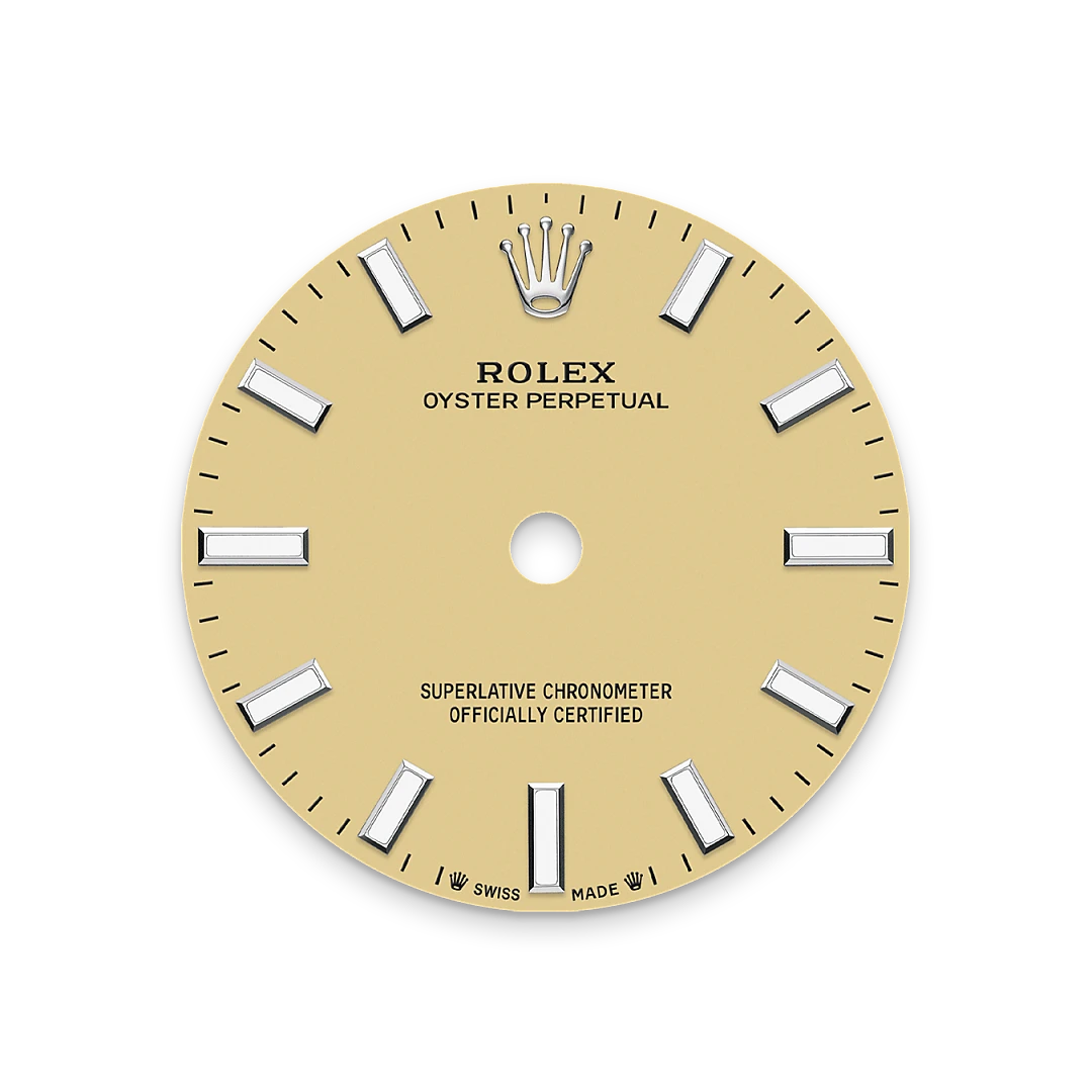 Rolex Oyster Perpetual in Oystersteel, M276200-0007 - Swiss Time Square