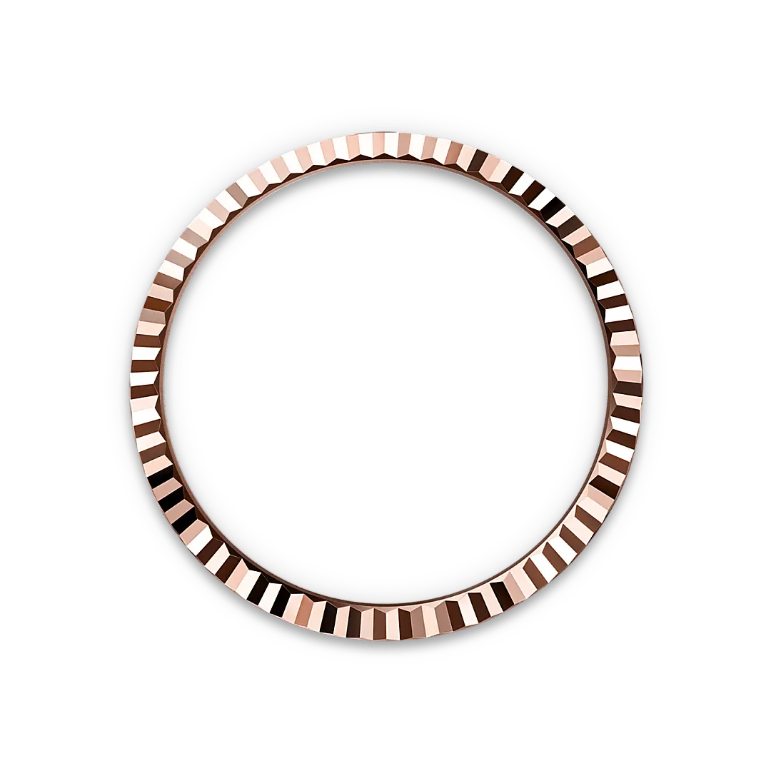 Rolex Land-Dweller in 18 ct Everose gold, M127335-0001 - Swiss Time Square