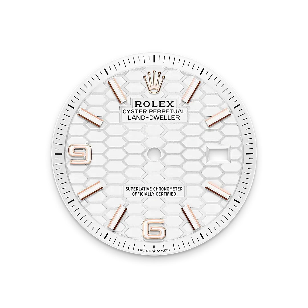 Rolex Land-Dweller in 18 ct Everose gold, M127235-0001 - Swiss Time Square