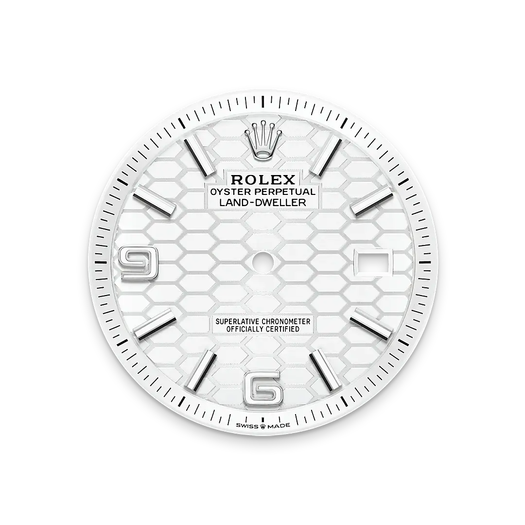Rolex Land-Dweller in White Rolesor - combination of Oystersteel and white gold, M127334-0001 - Swiss Time Square