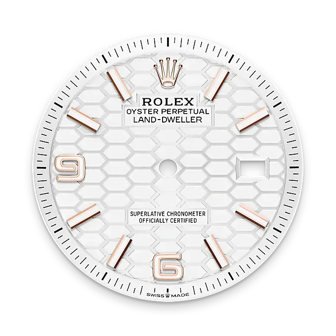 Rolex Land-Dweller in 18 ct Everose gold, M127235-0001 - Swiss Time Square