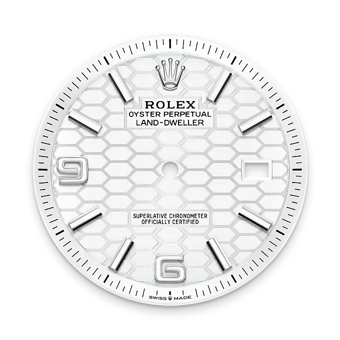 Rolex Land-Dweller in White Rolesor - combination of Oystersteel and white gold, M127334-0001 - Swiss Time Square