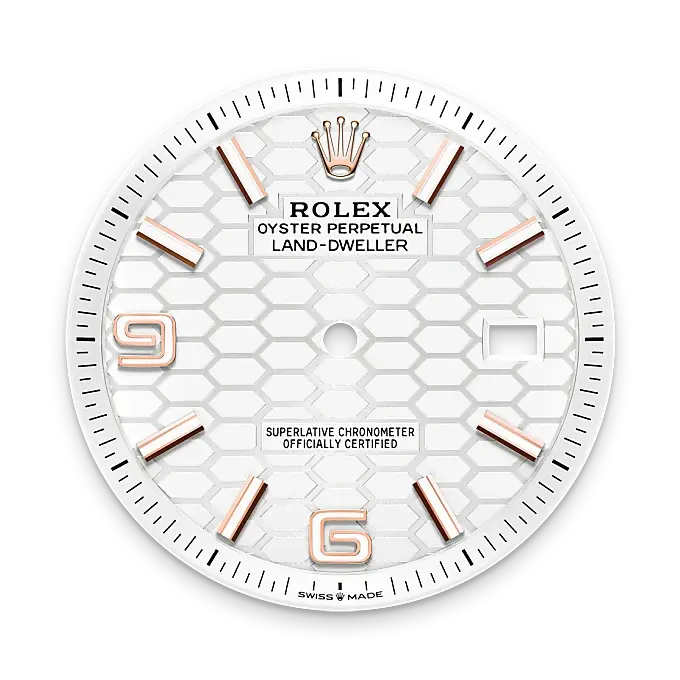 Rolex Land-Dweller in 18 ct Everose gold, M127335-0001 - Swiss Time Square