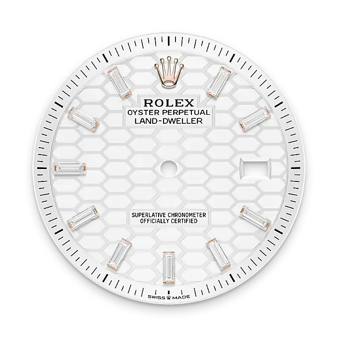 Rolex Land-Dweller in 18 ct Everose gold, M127385TBR-0003 - Swiss Time Square