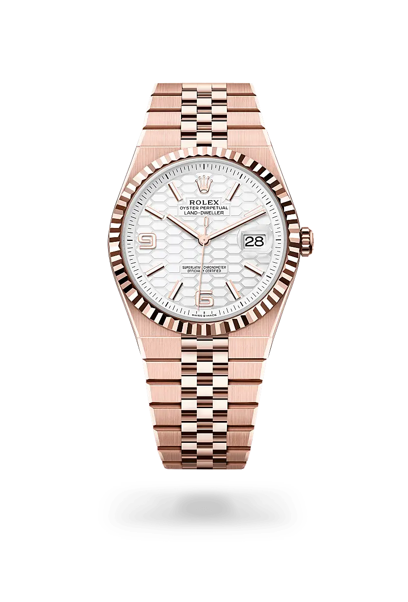 Rolex Land-Dweller in 18 ct Everose gold, M127335-0001 - Swiss Time Square