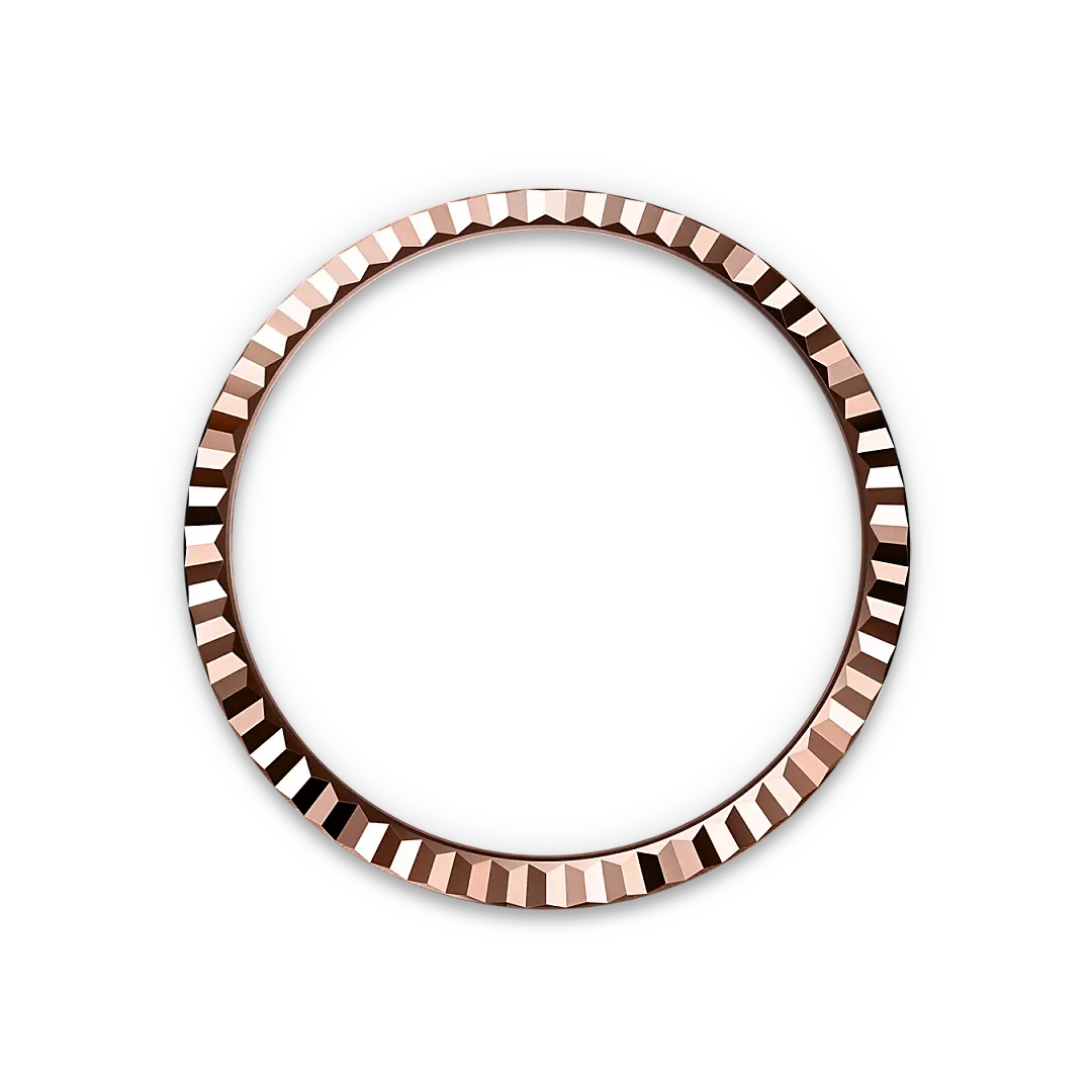 Rolex Land-Dweller in 18 ct Everose gold, M127235-0001 - Swiss Time Square