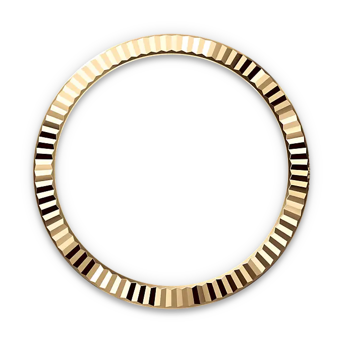 Rolex Datejust in Yellow Rolesor - combination of Oystersteel and yellow gold, M126333-0024 - Swiss Time Square