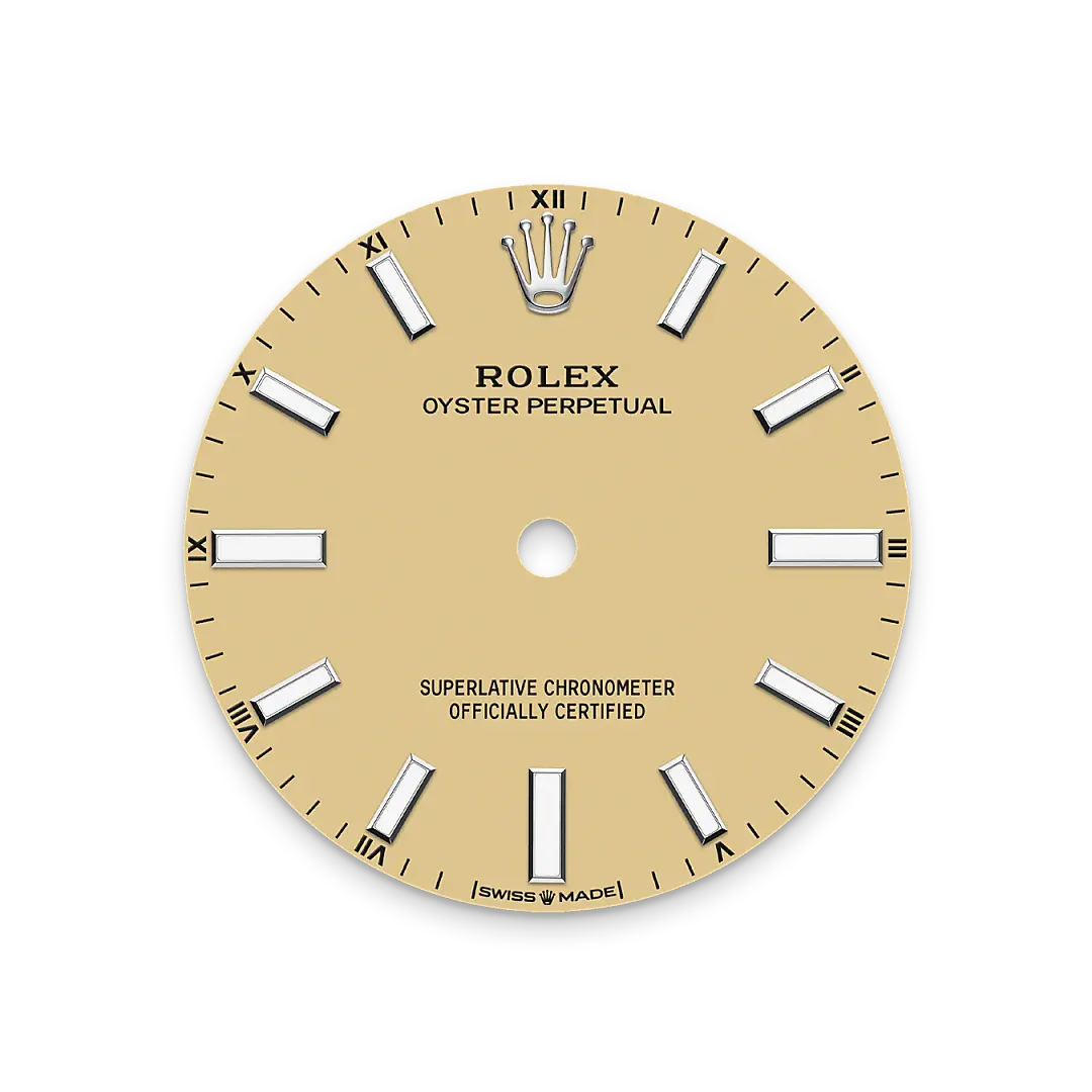 Rolex Oyster Perpetual in Oystersteel, M124200-0007 - Swiss Time Square