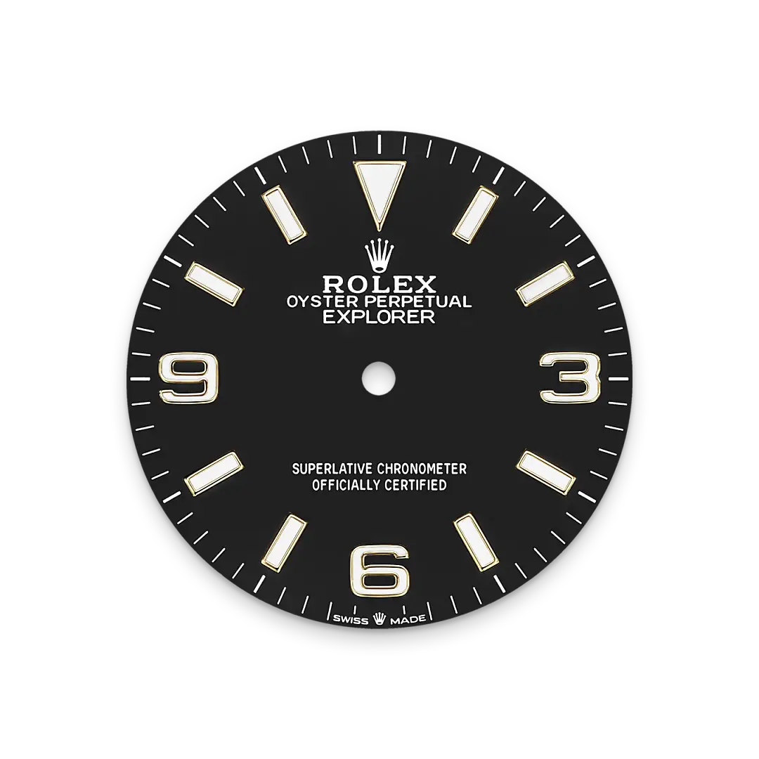 Rolex Explorer in Yellow Rolesor - combination of Oystersteel and yellow gold, M124273-0001 - Swiss Time Square