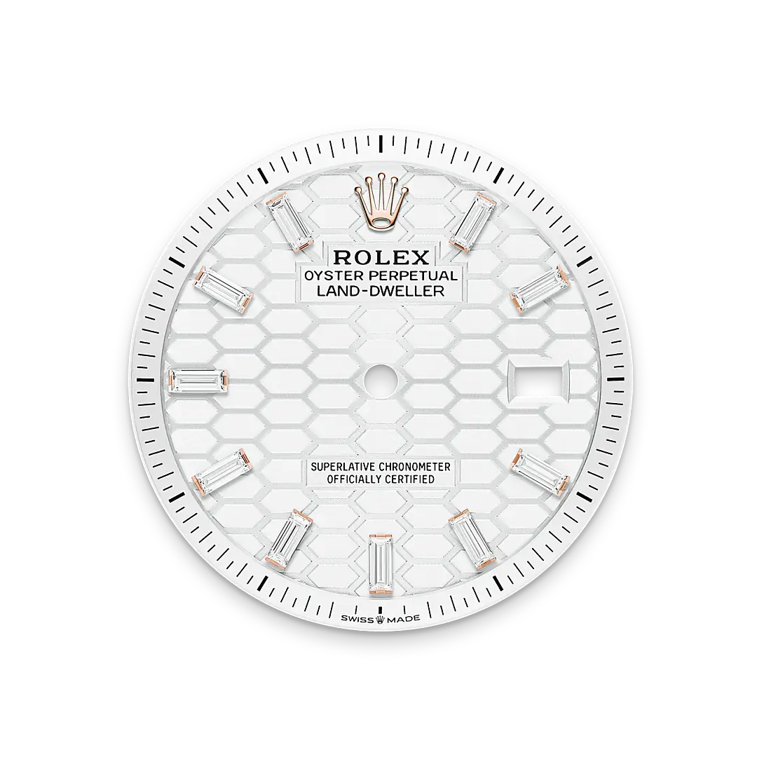 Rolex Land-Dweller in 18 ct Everose gold, M127285TBR-0002 - Swiss Time Square