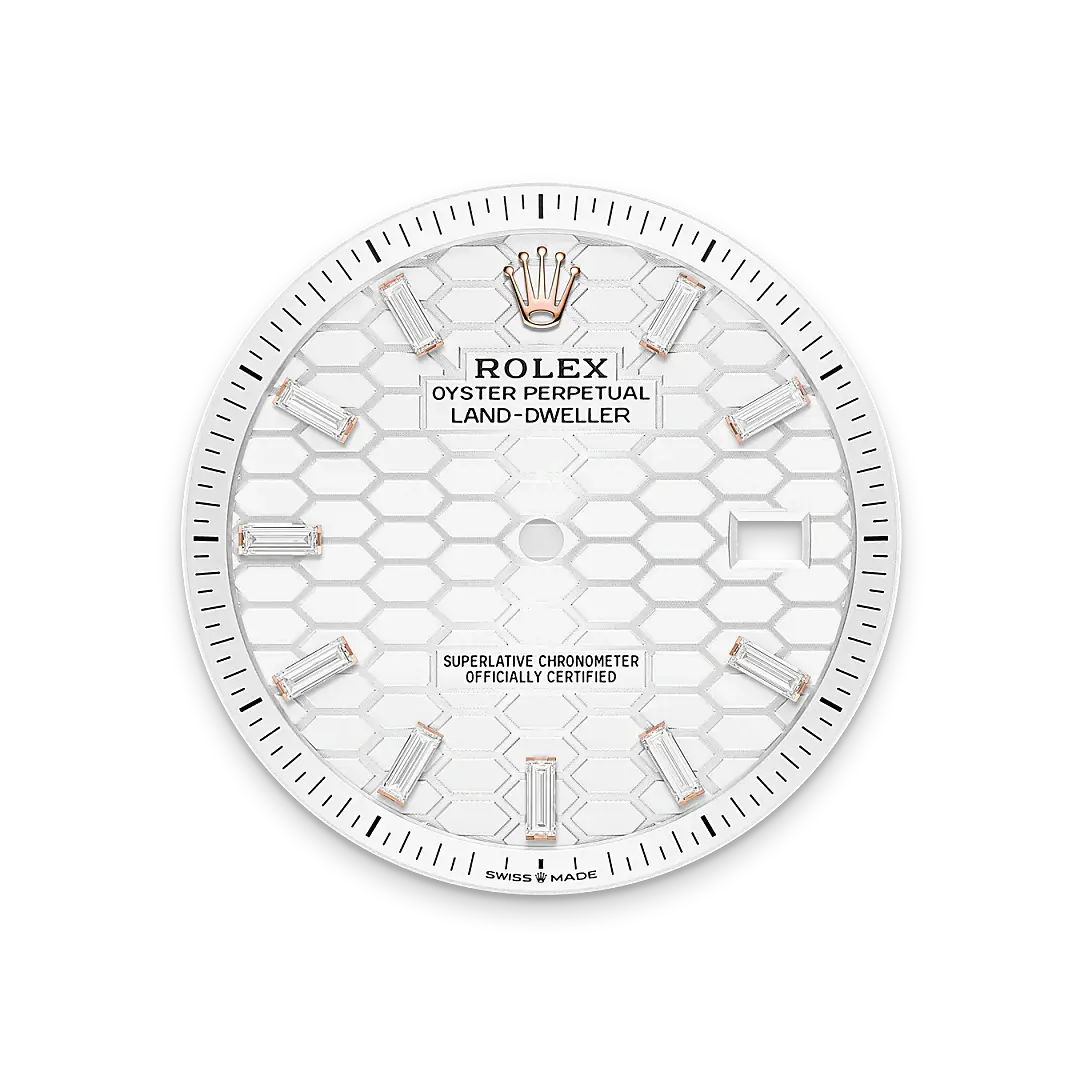 Rolex Land-Dweller in 18 ct Everose gold, M127385TBR-0003 - Swiss Time Square