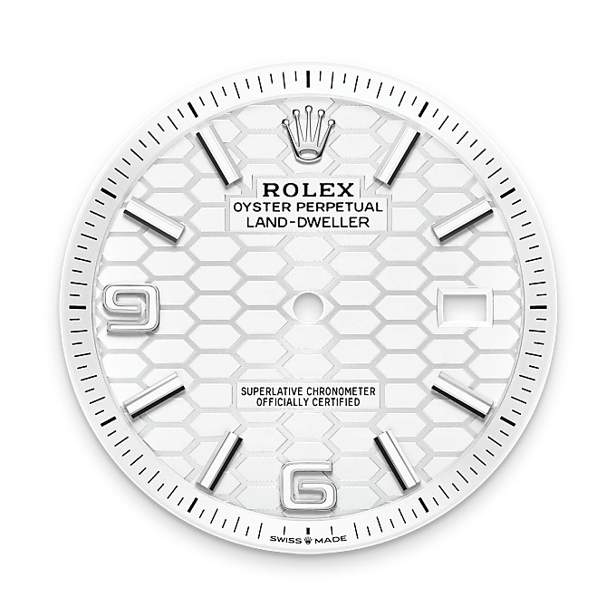 Rolex Land-Dweller in White Rolesor - combination of Oystersteel and white gold, M127334-0001 - Swiss Time Square