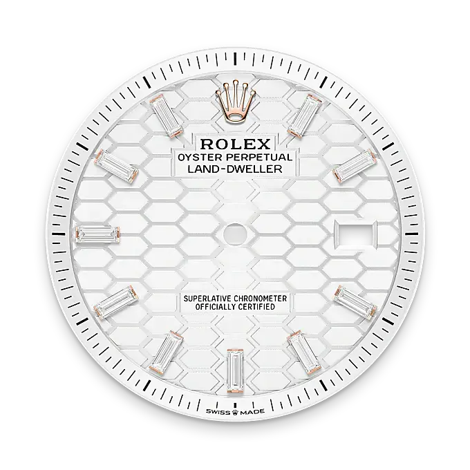 Rolex Land-Dweller in 18 ct Everose gold, M127385TBR-0003 - Swiss Time Square